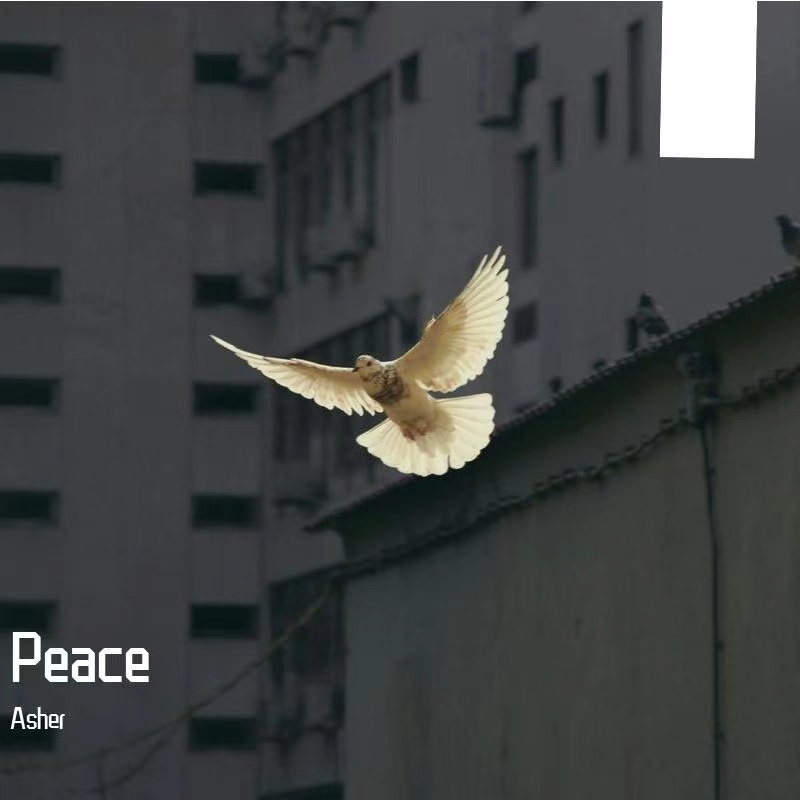 Peace cover artwork: a white dove flying through a shadowed city scene